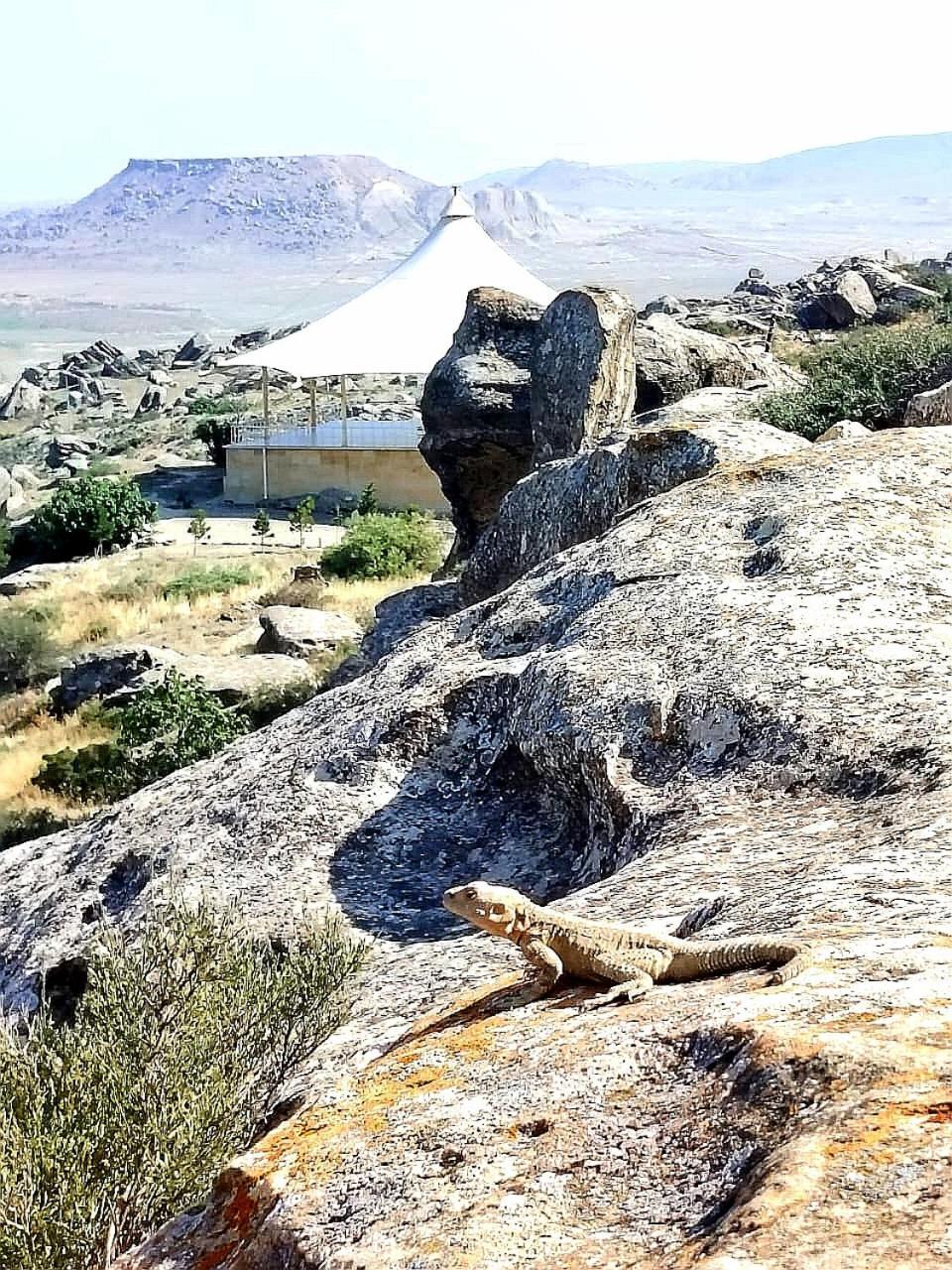 Baku "Black Mountain" Guest House Sangachal Eksteriør bilde